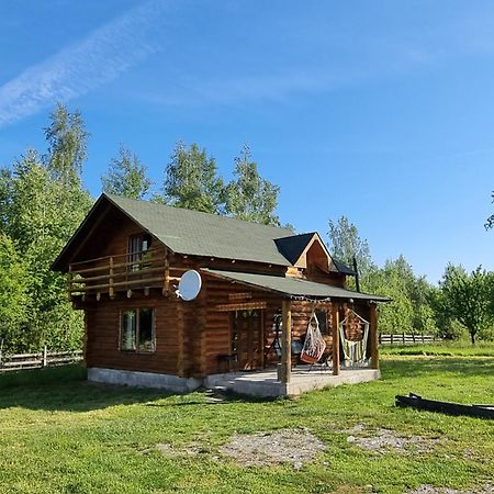 Musketeers Cabin Porumbacu de Sus Bagian luar foto