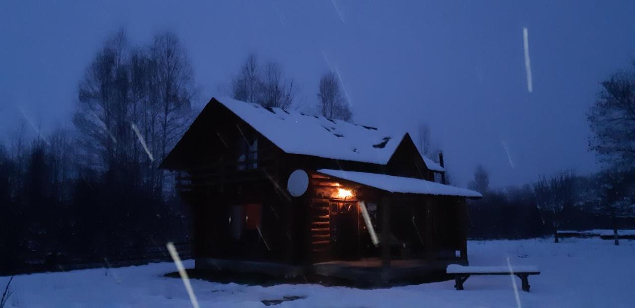 Musketeers Cabin Porumbacu de Sus Bagian luar foto
