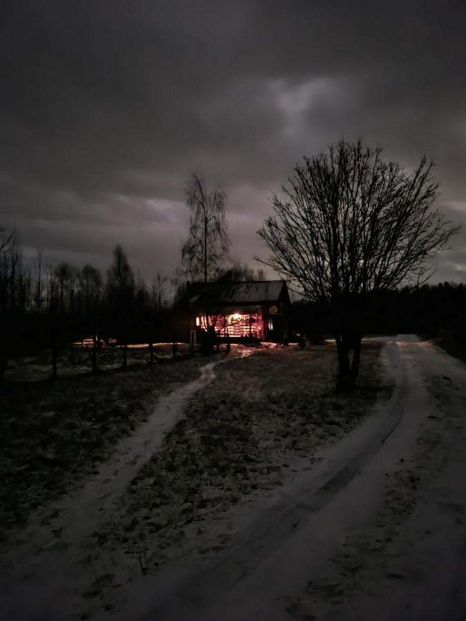 Musketeers Cabin Porumbacu de Sus Bagian luar foto