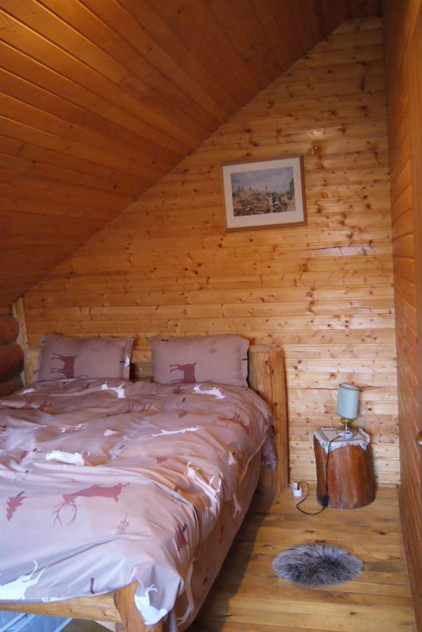 Musketeers Cabin Porumbacu de Sus Bagian luar foto