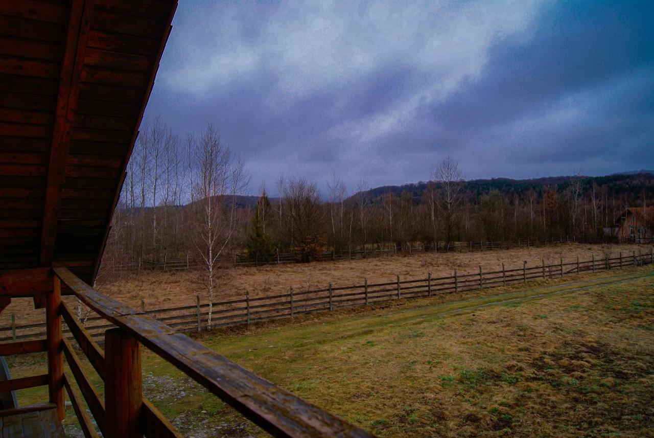 Musketeers Cabin Porumbacu de Sus Bagian luar foto