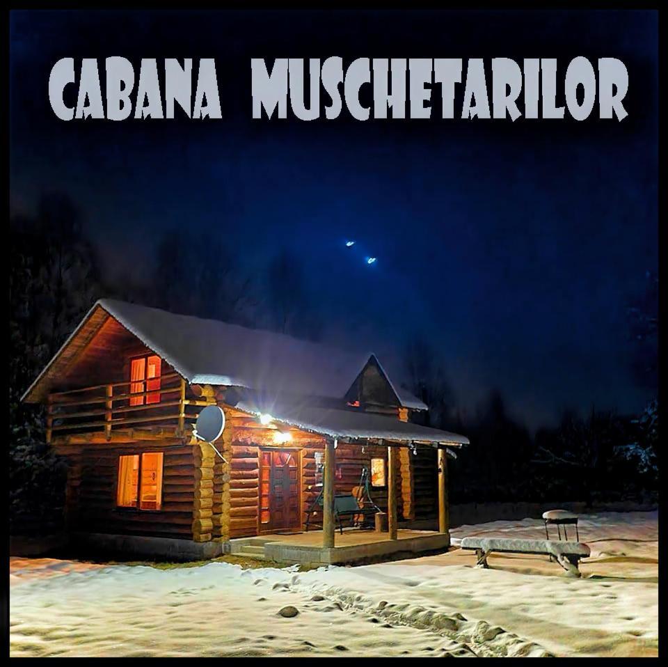 Musketeers Cabin Porumbacu de Sus Bagian luar foto