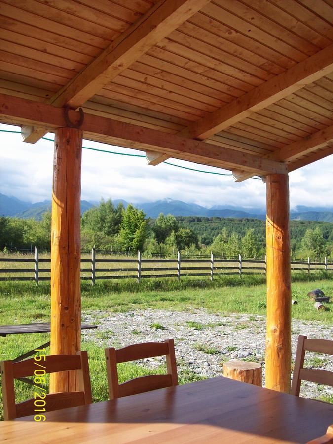 Musketeers Cabin Porumbacu de Sus Bagian luar foto