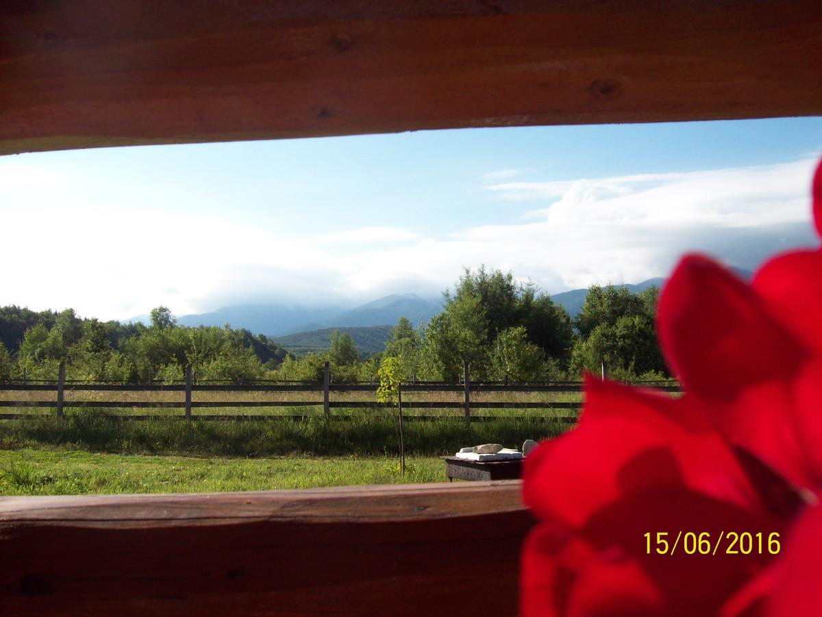 Musketeers Cabin Porumbacu de Sus Bagian luar foto
