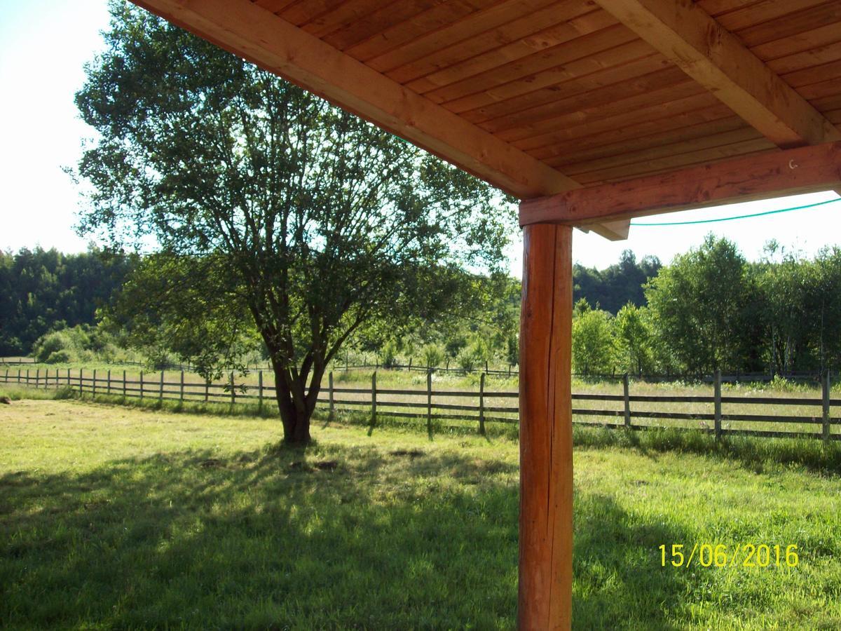 Musketeers Cabin Porumbacu de Sus Bagian luar foto
