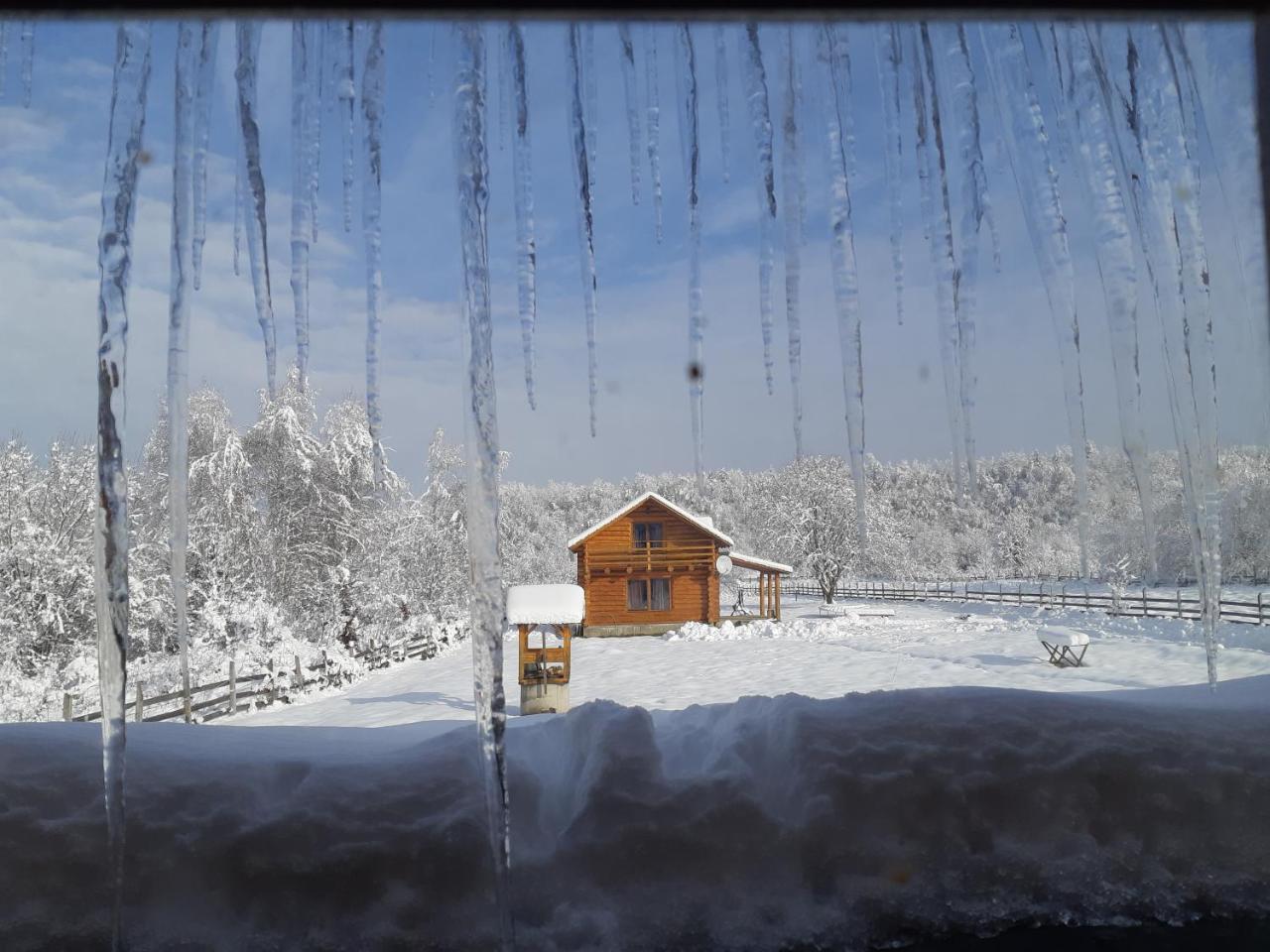Musketeers Cabin Porumbacu de Sus Bagian luar foto